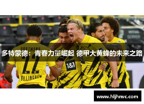多特蒙德:青春力量崛起 德甲大黄蜂的未来之路 多特蒙德:青春力量崛起 德甲大黄蜂的未来之路