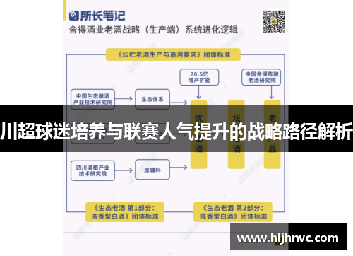 川超球迷培养与联赛人气提升的战略路径解析